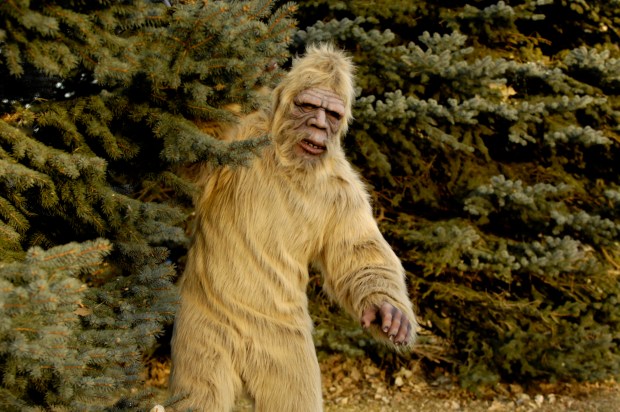 Which mythical creature is less likely to actually be spotted: Bigfoot or the Moderate Republican?